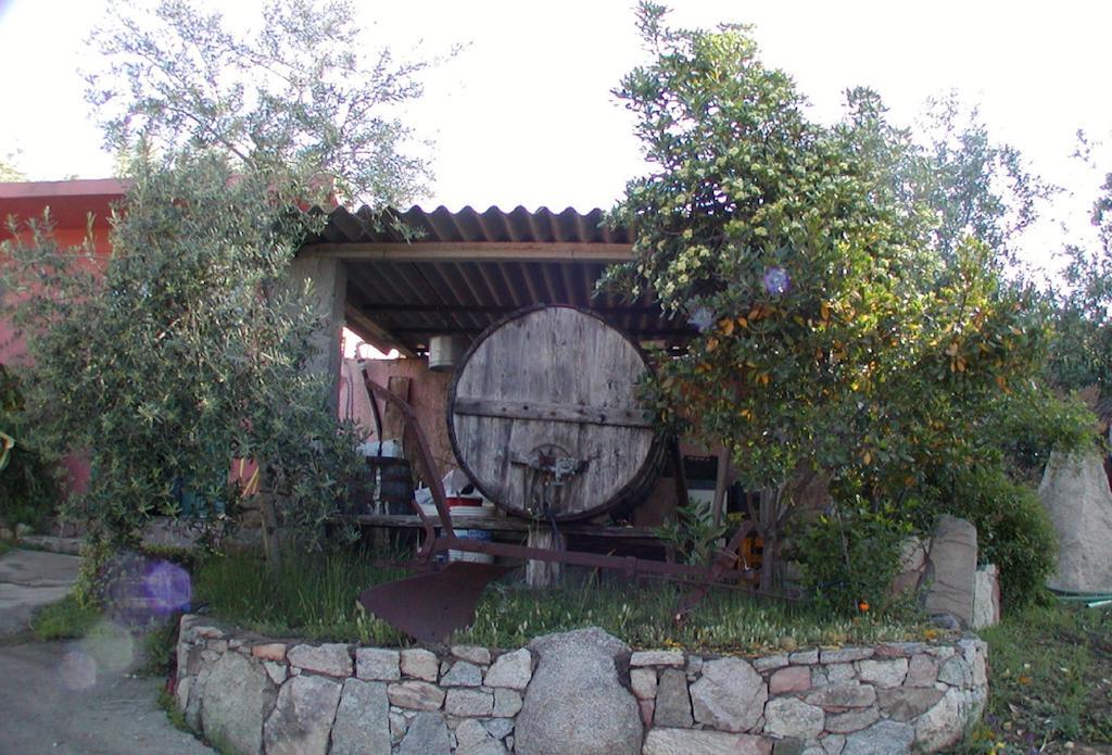 Agriturismo Su Barraccu Loceri Exterior foto