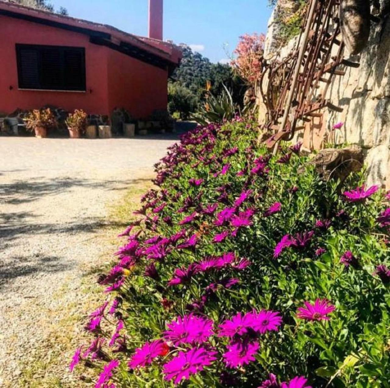 Agriturismo Su Barraccu Loceri Exterior foto